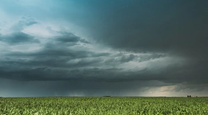 DIA ESTÁVEL EM RO - Chuva forte e ventos de até 70 km/h impactam o tempo hoje

